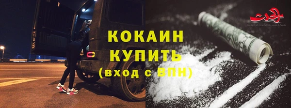 прущие грибы Новокубанск