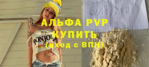 прущие грибы Новокубанск