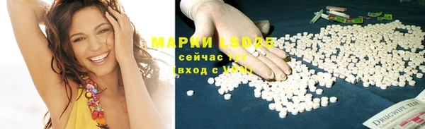 a pvp Новозыбков
