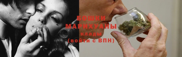 прущие грибы Новокубанск