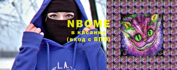 прущие грибы Новокубанск