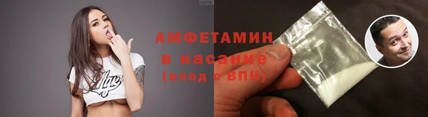 прущие грибы Новокубанск