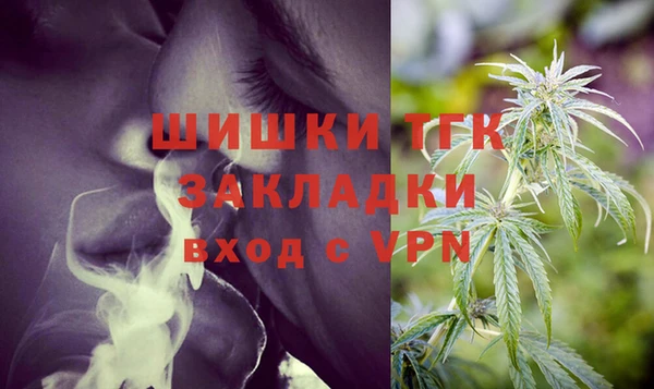 прущие грибы Новокубанск