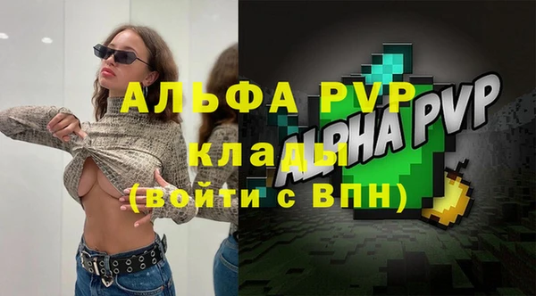 прущие грибы Новокубанск