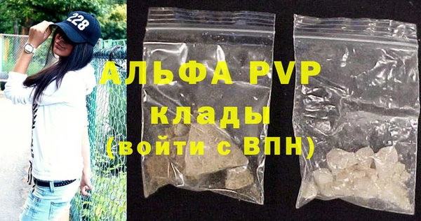 a pvp Новозыбков