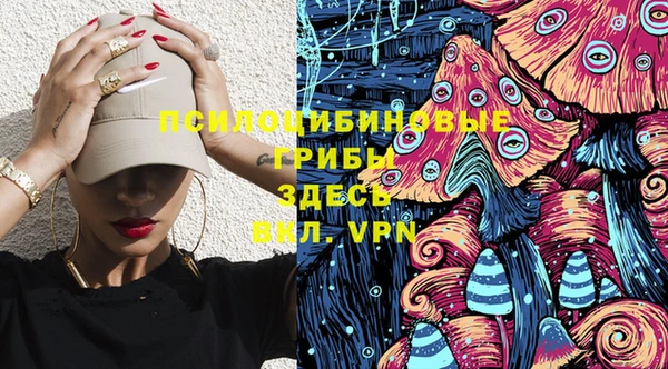 a pvp Новозыбков