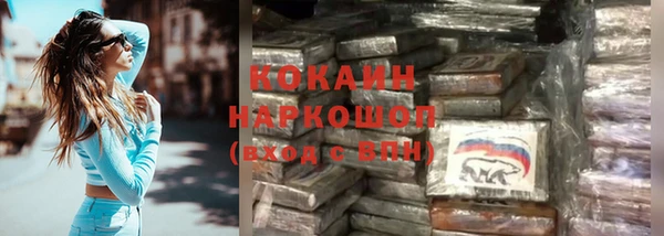 ПСИЛОЦИБИНОВЫЕ ГРИБЫ Новодвинск