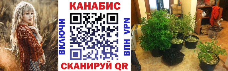 Бошки марихуана индика  Купить закладки  Рыбинск 